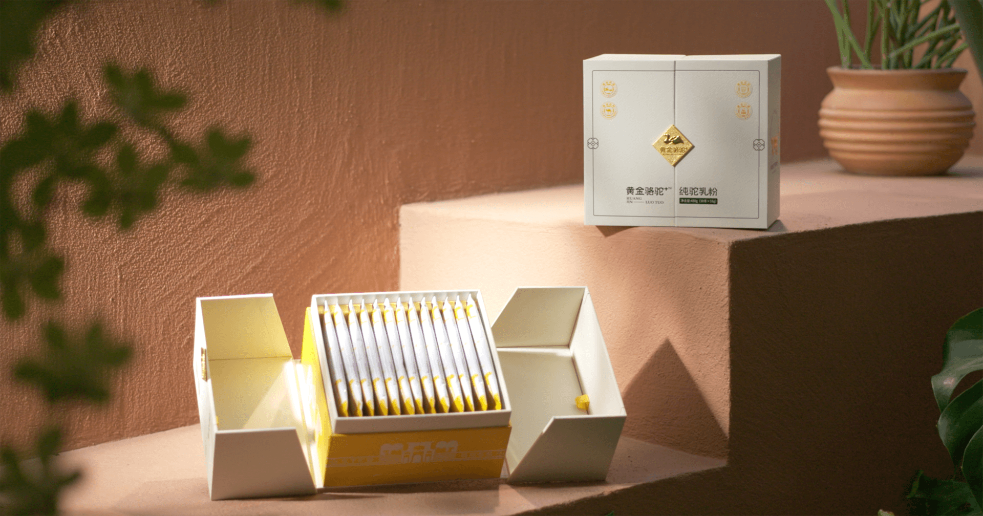 定位小众高端乳粉，2007so太阳集团推出驼奶品牌“黄金骆驼+”，角逐乳品新市。